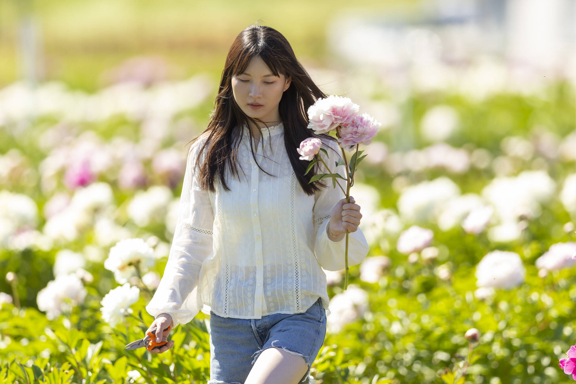 Peony Farm Experience | Simply Peonies